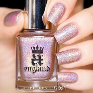 NWOT gorgeous nail polish